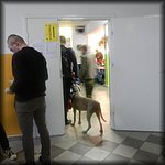 Miniaturka