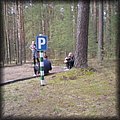 Miniaturka